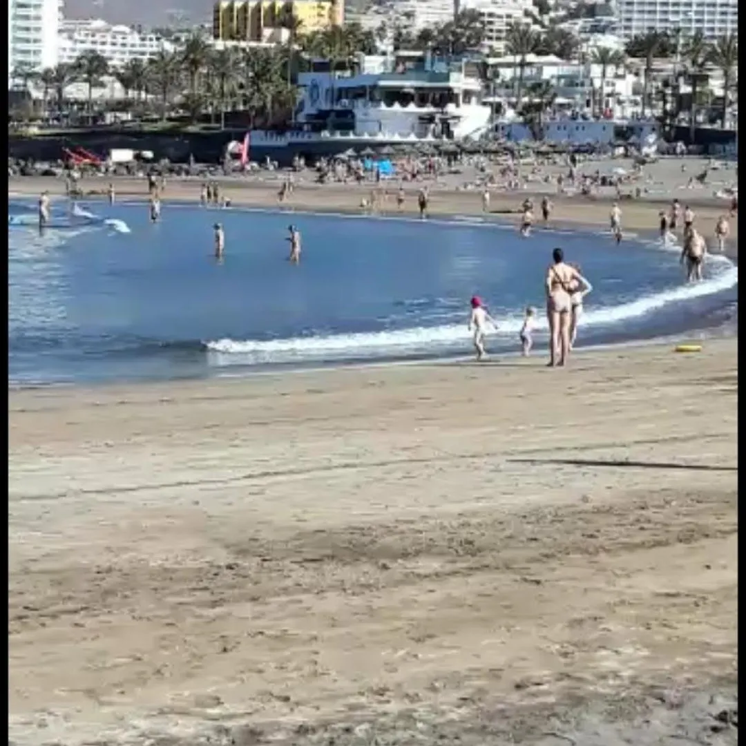 Apartment Chill Out Tenerife Sud - Monolocale Con Piscina Riscaldata Costa Del Silencio