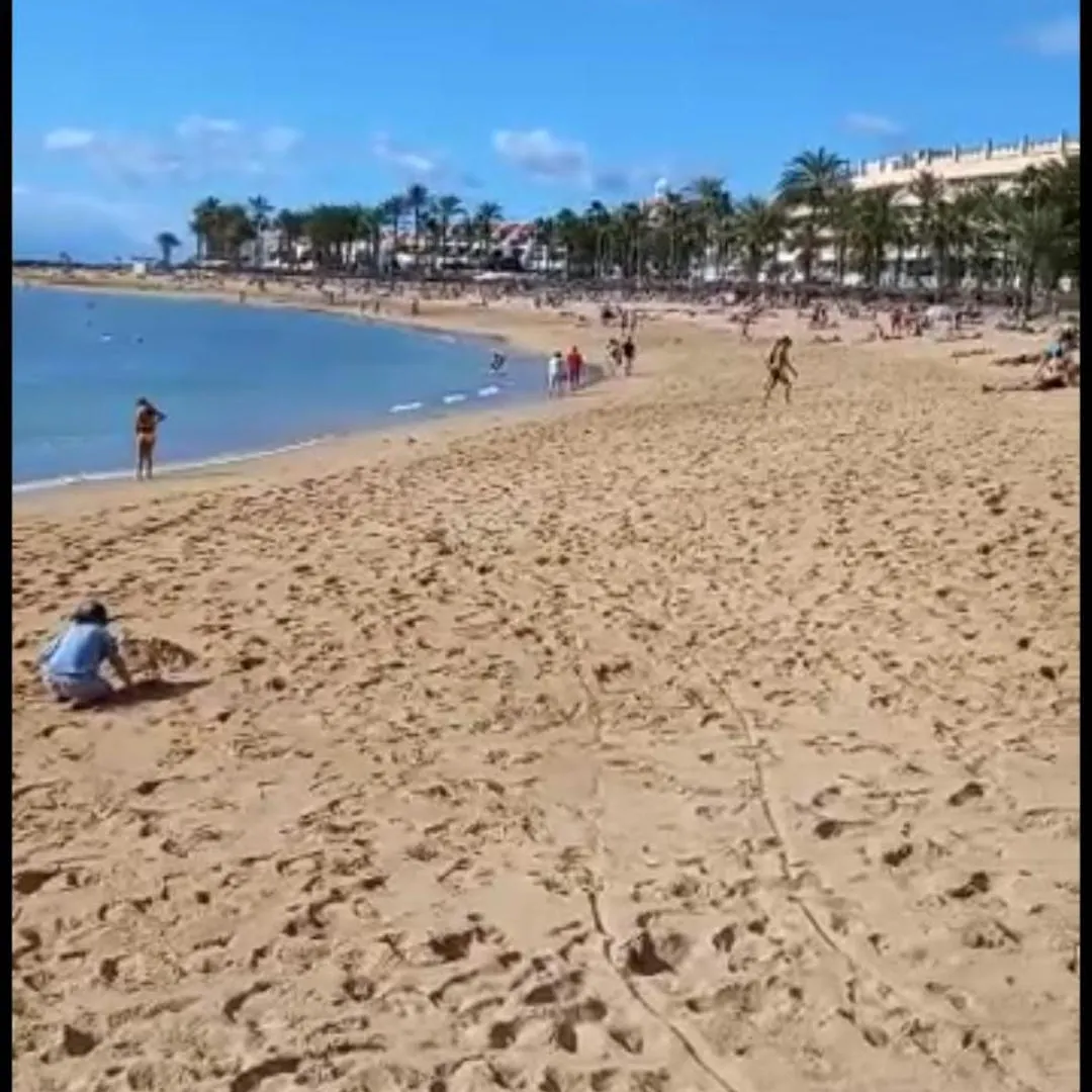 Chill Out Tenerife Sud - Monolocale Con Piscina Riscaldata Costa Del Silencio Spain