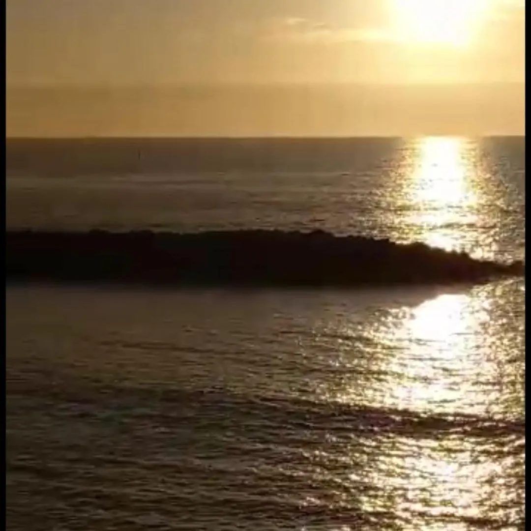 Chill Out Tenerife Sud - Monolocale Con Piscina Riscaldata Costa Del Silencio 0*,  Spain